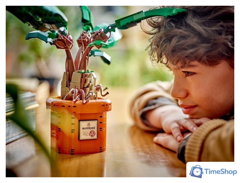 Конструктор LEGO Harry Potter 76433 Мандрагора - Изображение №8 — Интернет-магазин Time-Shop