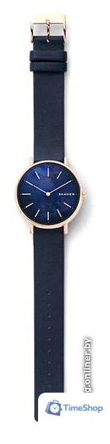Наручные часы Skagen SKW2731 - Изображение №3 — Интернет-магазин Time-Shop