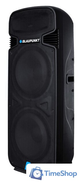 Патибокс Blaupunkt PA25 - Изображение №3 — Интернет-магазин Time-Shop