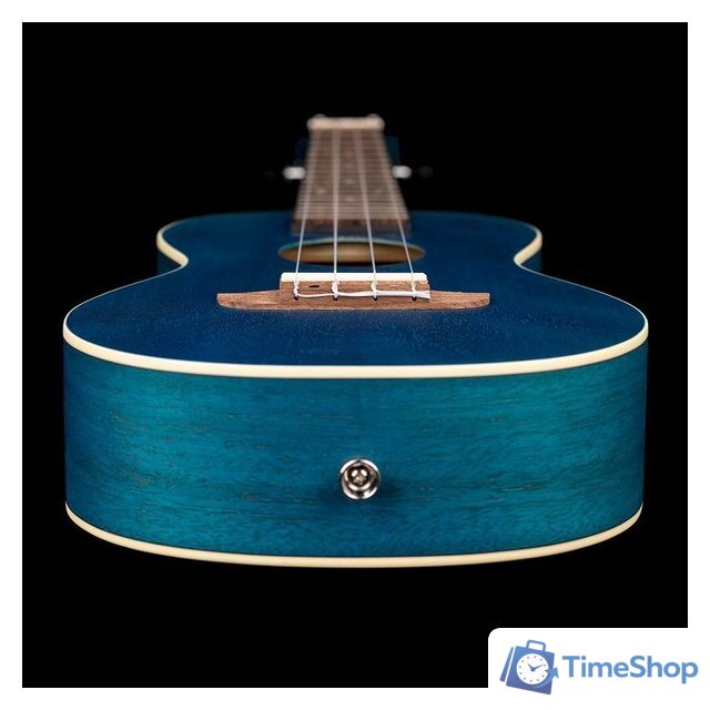 Укулеле Ortega Earth RUOCEAN - Изображение №5 — Интернет-магазин Time-Shop