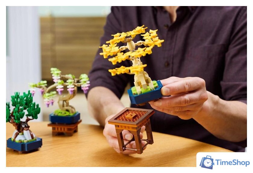 Конструктор LEGO The Botanical Collection 10373 Мини-деревья бонсай - Изображение №13 — Интернет-магазин Time-Shop