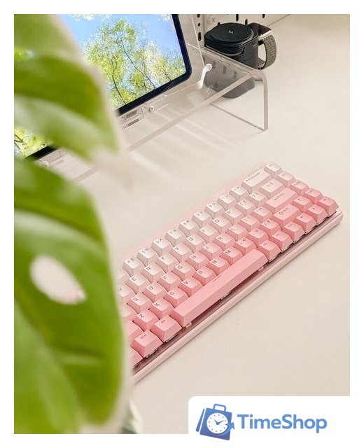 Клавиатура MCHOSE Ace 68 Air HE Peach Gradient (Kailh Magnetic God) - Изображение №4 — Интернет-магазин Time-Shop