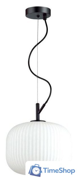 Подвесная люстра Odeon Light Roofi 4753/1 - Изображение №1 — Интернет-магазин Time-Shop