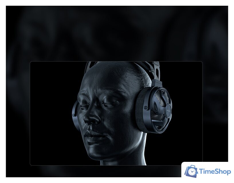 Наушники FiiO FT3 350 Ом - Изображение №6 — Интернет-магазин Time-Shop