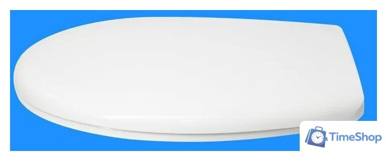 Сиденье для унитаза Roca Victoria ZRU8013900 - Изображение №3 — Интернет-магазин Time-Shop