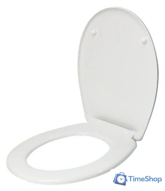 Сиденье для унитаза Roca Victoria ZRU8013900 - Изображение №1 — Интернет-магазин Time-Shop