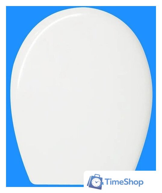 Сиденье для унитаза Roca Victoria ZRU8013900 - Изображение №4 — Интернет-магазин Time-Shop