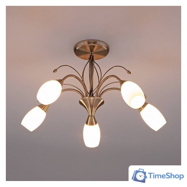 Люстра средней высоты Евросвет Ginevra 30280/5 античная бронза - Изображение №2 — Интернет-магазин Time-Shop