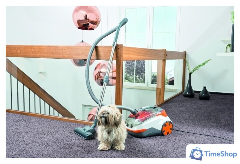 Пылесос Thomas DryBOX+AquaBOX CAT & DOG 786554 - Изображение №10 — Интернет-магазин Time-Shop