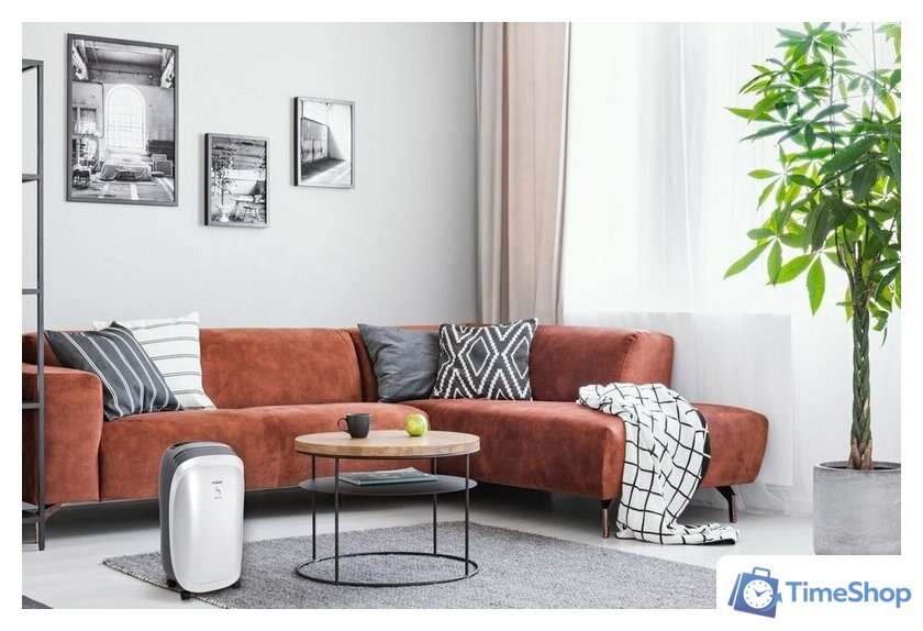 Осушитель воздуха Funai Neko S RAD-N10F3E - Изображение №9 — Интернет-магазин Time-Shop