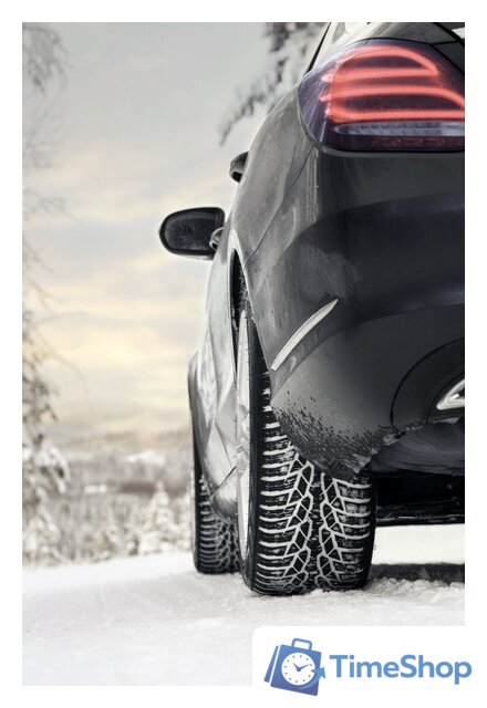 Зимние шины Nokian Tyres WR D4 225/45R17 91H - Изображение №4 — Интернет-магазин Time-Shop