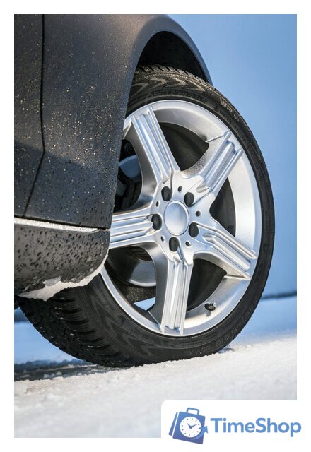Зимние шины Nokian Tyres WR D4 225/45R17 91H - Изображение №5 — Интернет-магазин Time-Shop