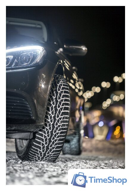 Зимние шины Nokian Tyres WR D4 225/45R17 91H - Изображение №7 — Интернет-магазин Time-Shop