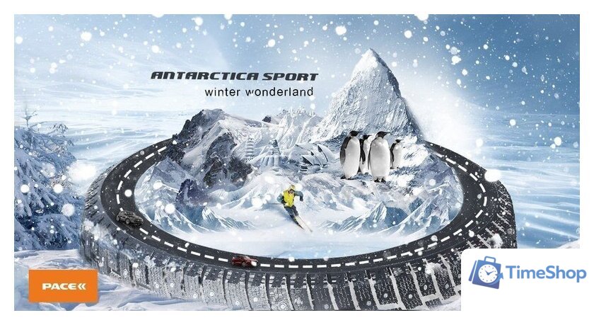 Зимние шины Pace Antarctica Sport 225/65R17 102T (шипы) - Изображение №2 — Интернет-магазин Time-Shop