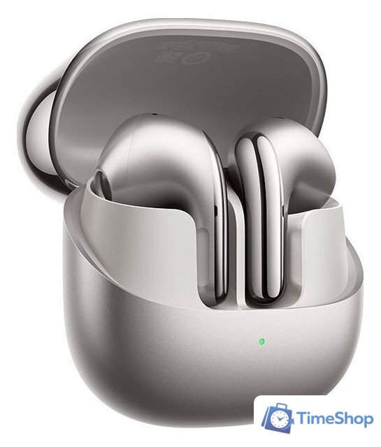 Наушники Xiaomi Buds 5 M2341E1 (серый титан, международная версия) - Изображение №2 — Интернет-магазин Time-Shop
