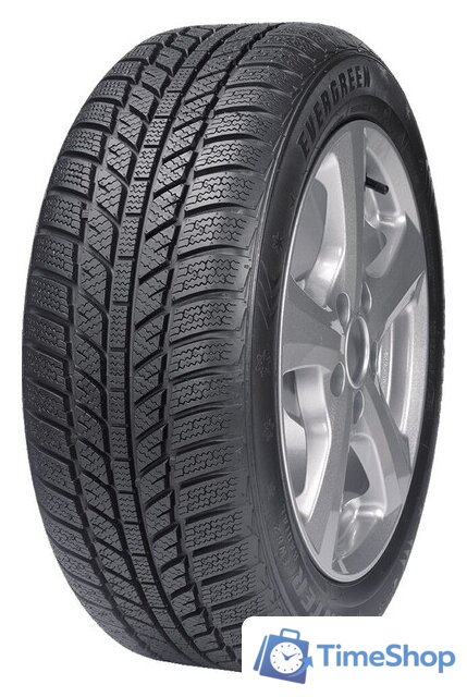 Зимние шины Evergreen EW62 205/65R16 95H - Изображение №1 — Интернет-магазин Time-Shop
