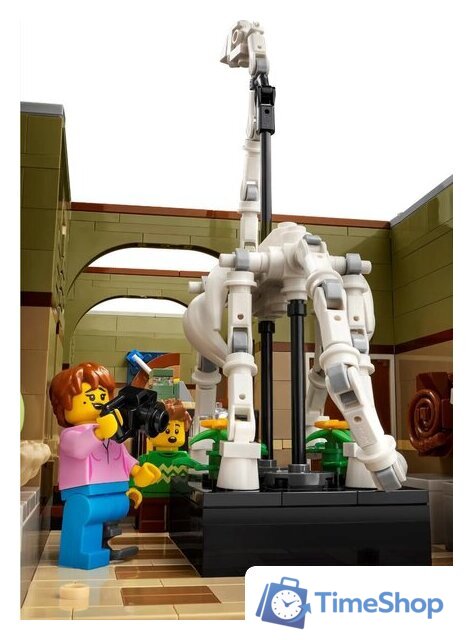 Конструктор LEGO Icons 10326 Музей естественной истории - Изображение №5 — Интернет-магазин Time-Shop