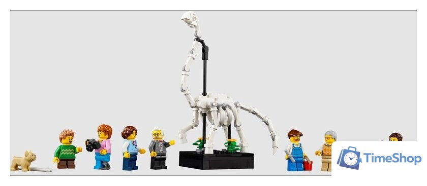 Конструктор LEGO Icons 10326 Музей естественной истории - Изображение №10 — Интернет-магазин Time-Shop