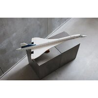 Конструктор LEGO Icons 10318 Конкорд - Превью изображения №11 — Интернет-магазин Time-Shop