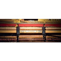 Проводной микрофон Lewitt LCT 240 PRO (черный) - Превью изображения №14 — Интернет-магазин Time-Shop