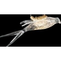 Wertmark Viviana WE183.01.503