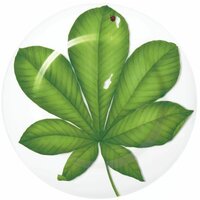 Taitu Freedom Leaf 1-86-D