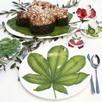 Блюдо Taitu Freedom Leaf 1-86-D - Превью изображения №5 — Интернет-магазин Time-Shop