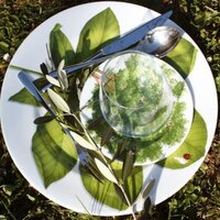 Блюдо Taitu Freedom Leaf 1-86-D - Превью изображения №7 — Интернет-магазин Time-Shop