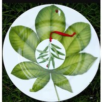 Блюдо Taitu Freedom Leaf 1-86-D - Превью изображения №3 — Интернет-магазин Time-Shop