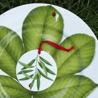 Блюдо Taitu Freedom Leaf 1-86-D - Превью изображения №2 — Интернет-магазин Time-Shop