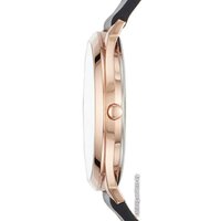 Наручные часы Skagen SKW1102 - Превью изображения №2 — Интернет-магазин Time-Shop