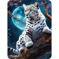 CACTUS CS-MP-PRO16XL