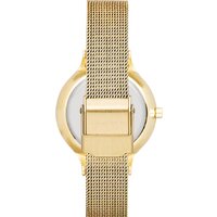 Наручные часы Skagen SKW2150 - Превью изображения №5 — Интернет-магазин Time-Shop