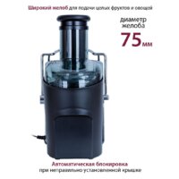 Соковыжималка Pioneer JC2070 - Превью изображения №5 — Интернет-магазин Time-Shop