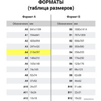 Пленка для ламинирования BRAUBERG Brauberg А4 175 мкм 100 шт 531795 (глянцевый, прозрачный) - Превью изображения №7 — Интернет-магазин Time-Shop