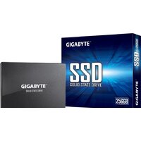 SSD Gigabyte 256GB GP-GSTFS31256GTND - Превью изображения №4 — Интернет-магазин Time-Shop