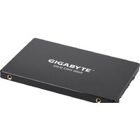 SSD Gigabyte 256GB GP-GSTFS31256GTND - Превью изображения №3 — Интернет-магазин Time-Shop