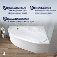 Ванна Lauter Valencia 160x105 2102160R (с каркасом и сифоном 21Y11021 матовый черный) - Превью изображения №5 — Интернет-магазин Time-Shop