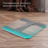 Напольные весы Redmond (Редмонд) SB1811 (серый) - Превью изображения №2 — Интернет-магазин Time-Shop