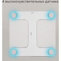 Напольные весы Redmond (Редмонд) SB1811 (серый) - Превью изображения №3 — Интернет-магазин Time-Shop