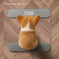 Напольные весы Redmond (Редмонд) SB1811 (серый) - Превью изображения №4 — Интернет-магазин Time-Shop