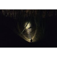 Фонарь Armytek Bear WRG - Превью изображения №7 — Интернет-магазин Time-Shop