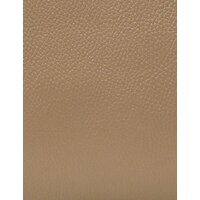 Женская сумка Souffle 269 2690128 (светлый капучино доллар эластичный) - Превью изображения №6 — Интернет-магазин Time-Shop