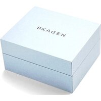 Наручные часы с украшением Skagen SKW1101 - Превью изображения №4 — Интернет-магазин Time-Shop