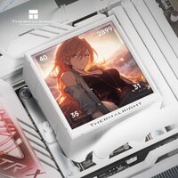 Система жидкостного охлаждения для процессора Thermalright Peerless Vision 240 ARGB (белый) - Превью изображения №3 — Интернет-магазин Time-Shop