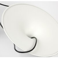 Подвесная люстра Lussole Irvine LSP-7080 - Превью изображения №5 — Интернет-магазин Time-Shop