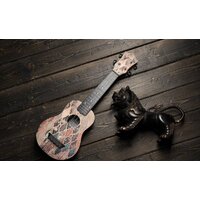 Укулеле Flight TUS40 Granada - Превью изображения №6 — Интернет-магазин Time-Shop