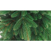 Ель Бифорес Крона Микс (1.95 м, темно-зеленый) - Превью изображения №2 — Интернет-магазин Time-Shop