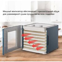 Сушилка для овощей и фруктов StarWind SFD6431 - Превью изображения №12 — Интернет-магазин Time-Shop