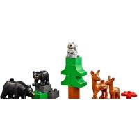 Набор деталей LEGO Education 45029 Животные - Превью изображения №3 — Интернет-магазин Time-Shop